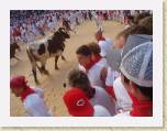 07July05 - Nay, Jenny, Baz, Andy in Spain - Running of Bulls 194 * 2272 x 1704 * (848KB)